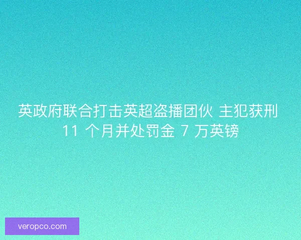 英政府联合打击英超盗播团伙 主犯获刑 11 个月并处罚金 7 万英镑